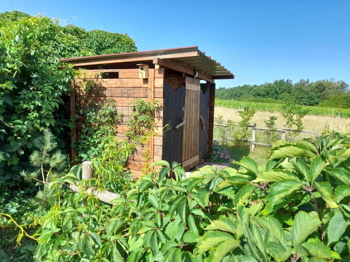 Le Clos De Epinettes 昂热 外观 照片